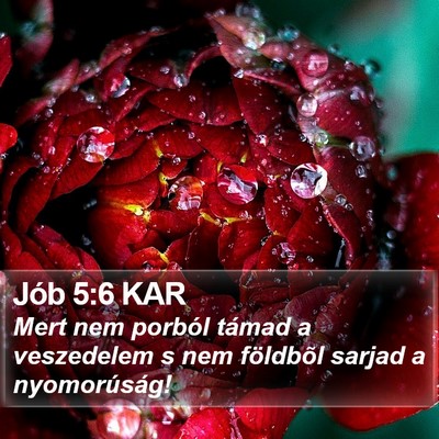 Jób 5:6 KAR Bible Verse Image