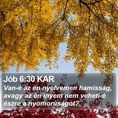 Jób 6:30 KAR Bible Verse Image