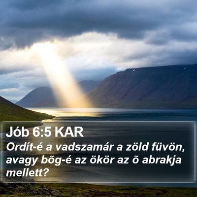 Jób 6:5 KAR Bible Verse Image