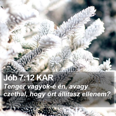 Jób 7:12 KAR Bible Verse Image