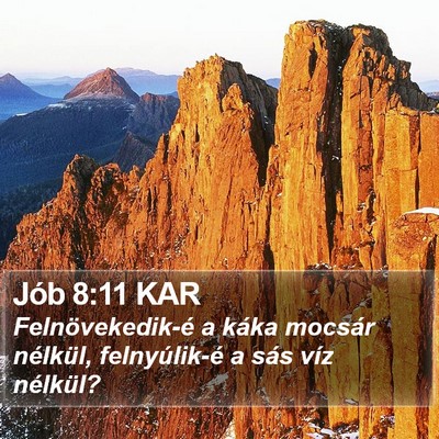 Jób 8:11 KAR Bible Verse Image