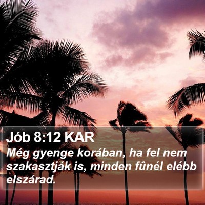 Jób 8:12 KAR Bible Verse Image