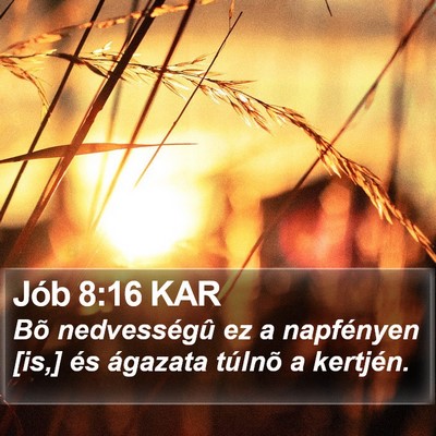 Jób 8:16 KAR Bible Verse Image