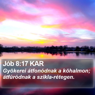 Jób 8:17 KAR Bible Verse Image