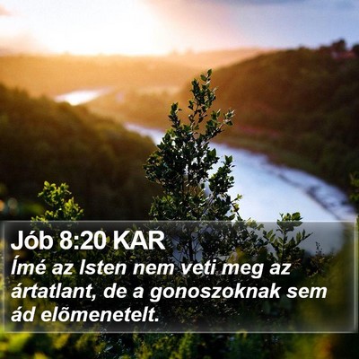 Jób 8:20 KAR Bible Verse Image