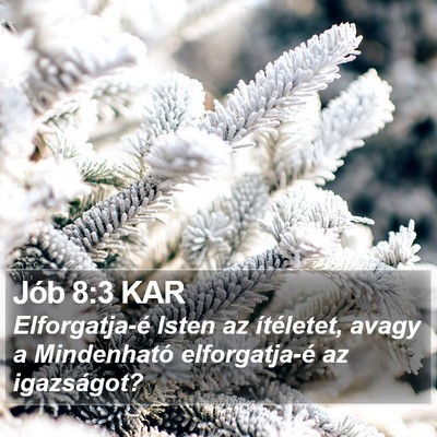 Jób 8:3 KAR Bible Verse Image