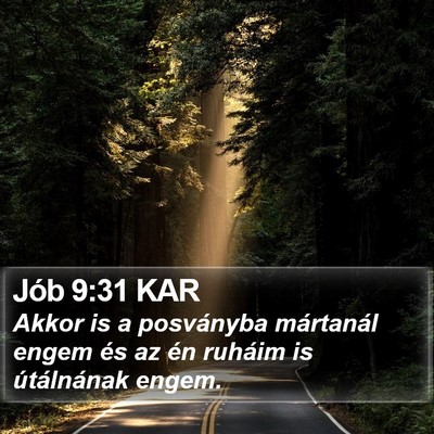 Jób 9:31 KAR Bible Verse Image