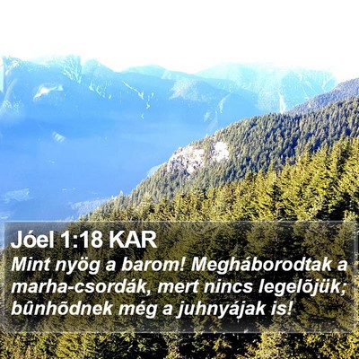 Jóel 1:18 KAR Bible Verse Image