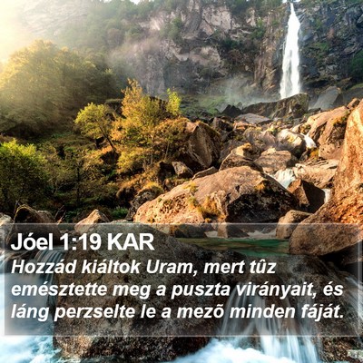 Jóel 1:19 KAR Bible Verse Image