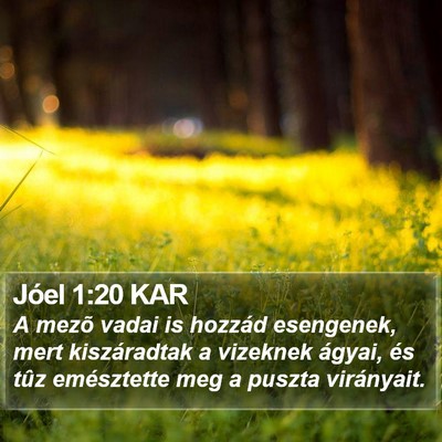 Jóel 1:20 KAR Bible Verse Image