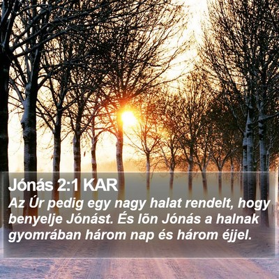 Jónás 2:1 KAR Bible Verse Image