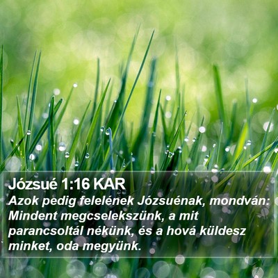 Józsué 1:16 KAR Bible Verse Image