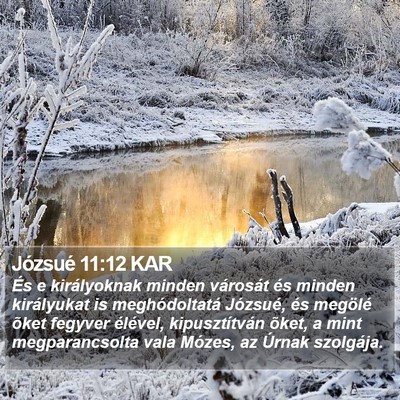 Józsué 11:12 KAR Bible Verse Image