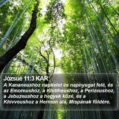 Józsué 11:3 KAR Bible Verse Image