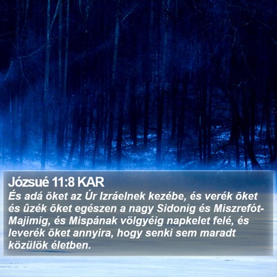 Józsué 11:8 KAR Bible Verse Image