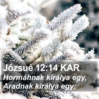 Józsué 12:14 KAR Bible Verse Image
