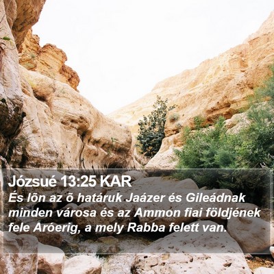 Józsué 13:25 KAR Bible Verse Image