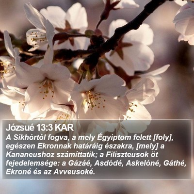 Józsué 13:3 KAR Bible Verse Image
