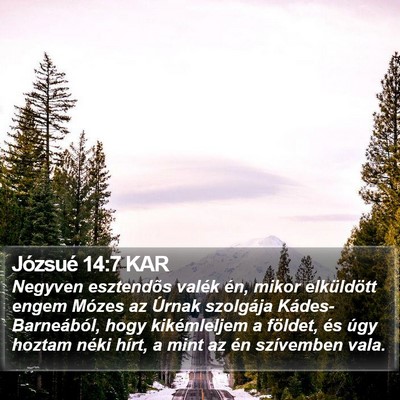 Józsué 14:7 KAR Bible Verse Image