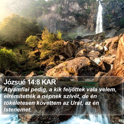 Józsué 14:8 KAR Bible Verse Image