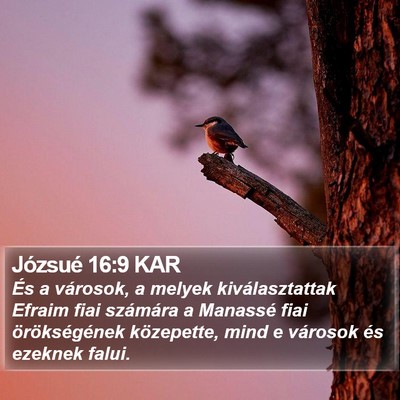 Józsué 16:9 KAR Bible Verse Image