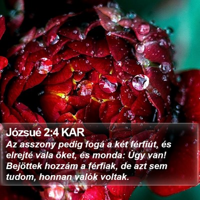 Józsué 2:4 KAR Bible Verse Image