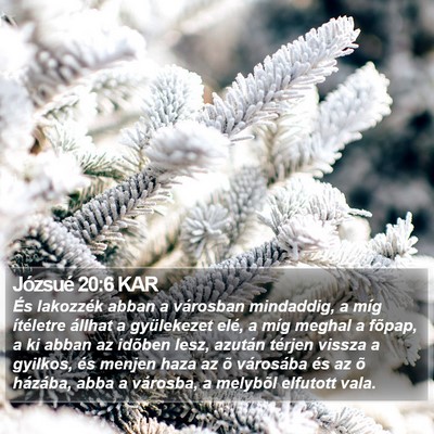 Józsué 20:6 KAR Bible Verse Image