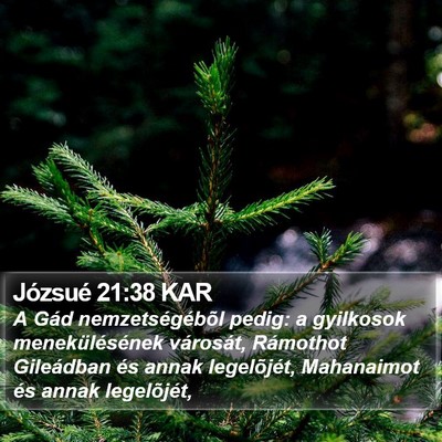 Józsué 21:38 KAR Bible Verse Image