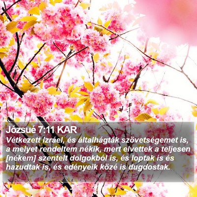 Józsué 7:11 KAR Bible Verse Image