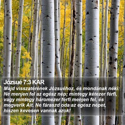 Józsué 7:3 KAR Bible Verse Image
