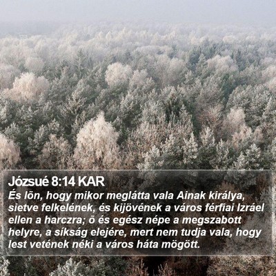 Józsué 8:14 KAR Bible Verse Image