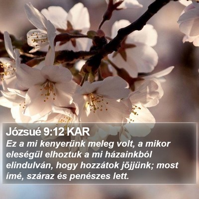Józsué 9:12 KAR Bible Verse Image