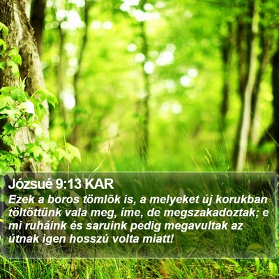 Józsué 9:13 KAR Bible Verse Image