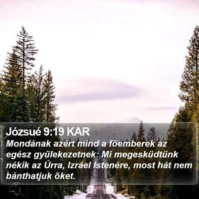 Józsué 9:19 KAR Bible Verse Image