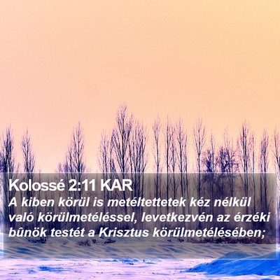 Kolossé 2:11 KAR Bible Verse Image