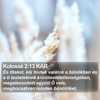 Kolossé 2:13 KAR Bible Verse Image