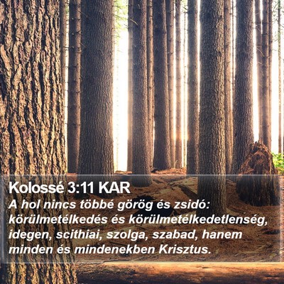 Kolossé 3:11 KAR Bible Verse Image