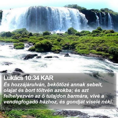 Lukács 10:34 KAR Bible Verse Image