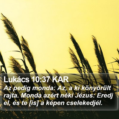 Lukács 10:37 KAR Bible Verse Image