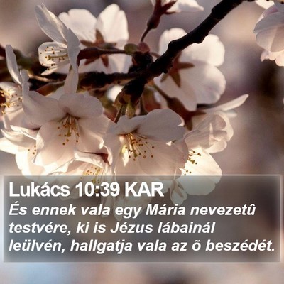 Lukács 10:39 KAR Bible Verse Image