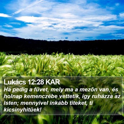Lukács 12:28 KAR Bible Verse Image