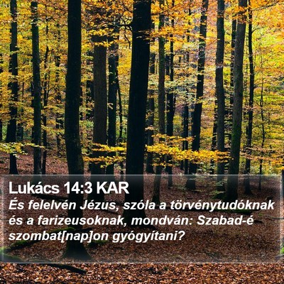 Lukács 14:3 KAR Bible Verse Image