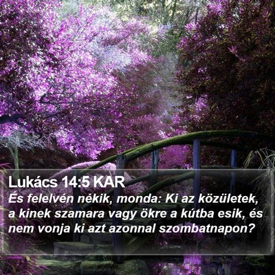Lukács 14:5 KAR Bible Verse Image