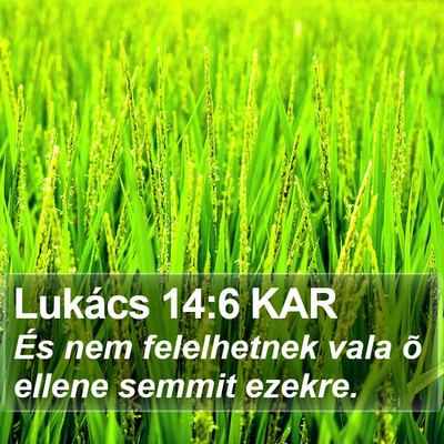 Lukács 14:6 KAR Bible Verse Image