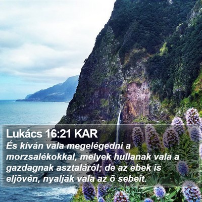 Lukács 16:21 KAR Bible Verse Image