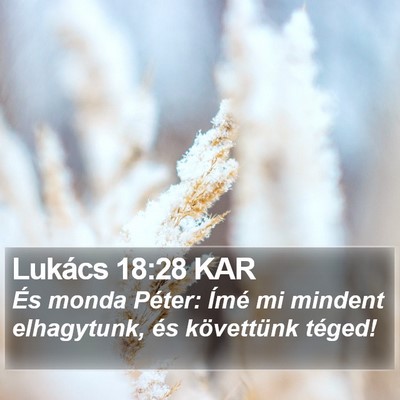Lukács 18:28 KAR Bible Verse Image