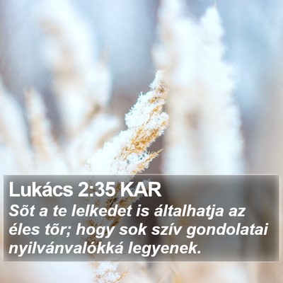 Lukács 2:35 KAR Bible Verse Image