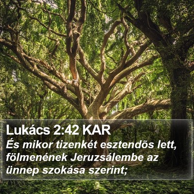 Lukács 2:42 KAR Bible Verse Image