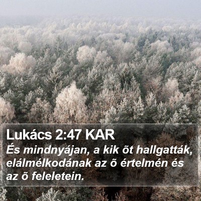 Lukács 2:47 KAR Bible Verse Image