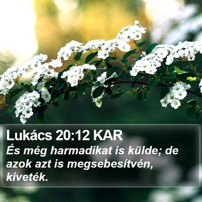 Lukács 20:12 KAR Bible Verse Image